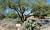 Guest House Setting